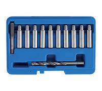 Set Réactivation Boulons Conduite pour Pinces Freins - Code bgs9347 FBGS9347 BGS