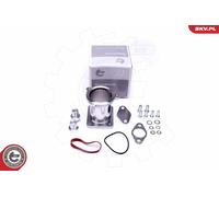 Set Réparation, Module Collecteur D'Admission pour Audi BMW 1 3 5 6 7 A3 X3 X5