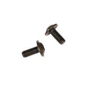Set Vis Fixation Support Powermore 250 Range Extender - 2 Pièces EB1210005K Bo