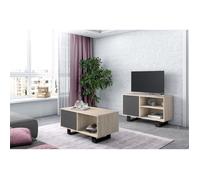 Set Wind, Ensemble de Meubles composé par 1 Meuble TV100 et 1 Table Basse, Chêne/Gris, Pieds noirs, RF1124