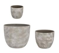 Set3 P.V. Hector To Tall Grey