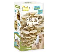 SETAS POCKET - CHAMPIGNONS AUTO-CULTIVANTS - Cultivez des champignons à la maison en seulement 10 jours.