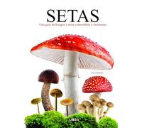 Setas: Una Guía de Hongos y Setas Comestibles y Venenosas