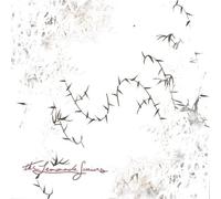 Seth.Perez - The. Lemonade. Sessions [Import]
