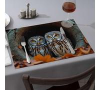 Sets de table avec deux hiboux assis dans un arbre creux pour salle à manger, chemin de table d'été facile à nettoyer (1 pièce)