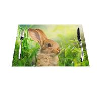 Sets de table élégants en forme de lapin - Résistants à la chaleur et faciles à nettoyer pour une décoration de table moderne