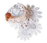 Sets de Table en Dentelle à Motifs Floraux Coussin Isolant Rond et Creux en Dentelle, Assiette, Bol, Serviette