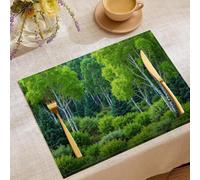 Sets de Table Rectangulaires Lavables et Antidérapants, 8 Pièces Résistantes à la Chaleur, Protège-Table en Coton et linPaysage d'été Forêt de bouleaux Vert