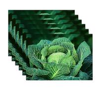 Sets De Table Vert Chou De Savoie 4 Sets De Table Plantes Biologiques pour Cuisine Salle À Manger Décoration De Table Dîner,Déjeuner,Petit Déjeuner 45 X 30 Cm