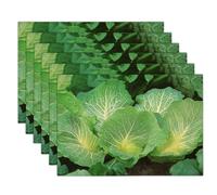 Sets De Table Vert Chou Frisé 4 Sets De Table Plantes Naturelles pour Cuisine Salle À Manger Décoration De Table Dîner,Déjeuner,Petit Déjeuner 45 X 30 Cm