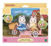 Sets Prets A Jouer Les Frères Et Surs Husky Et Leur Tandem