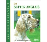 SETTER ANGLAIS