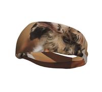 Setter anglais, animaux de compagnie d'automne, chiots, bandeaux pour hommes et femmes, bandeau de course, bandeau anti-transpiration, salle de sport