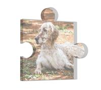 Setter Anglais Automne Animaux Chiens Anglais, Décorations acryliques de puzzle imprimant un souvenir de plaque acrylique pour dames mâle femelle