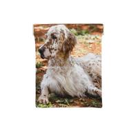 Setter Anglais Automne Animaux Chiens Anglais, Sac de Rangement pour Femmes, Portefeuille supérieur à Presser, Petit Porte-Monnaie, Pochette de Changement