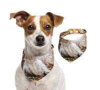 Setter Anglais Automne Animaux de Compagnie Chiens Anglais,Bandanas pour Chien, écharpe en Coton, Bavoirs réglables pour Animaux de Compagnie,M