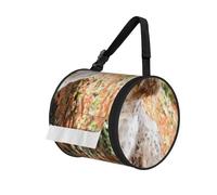 Setter Anglais Automne Animaux de Compagnie Chiens Anglais,Distributeur de mouchoirs cylindrique, Distributeur de mouchoirs Suspendu pour Voiture