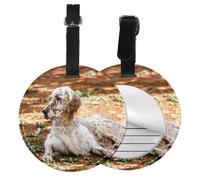 Setter anglais Automne Animaux de compagnie Chiens anglais,Étiquettes à bagages en cuir PU, étiquette nominative de voyage résistante, lot de 2