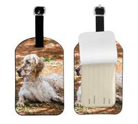 Setter anglais Automne Animaux de compagnie Chiens anglais,Étiquettes à bagages en cuir PU, étiquette nominative de voyage résistante, lot de 2