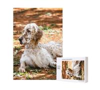 Setter Anglais Automne Animaux de Compagnie Chiens Anglais,Puzzle Familial en Bois de 300 pièces pour Adultes et Adolescents