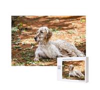 Setter Anglais Automne Animaux de Compagnie Chiens Anglais,Puzzle Familial en Bois de 300 pièces pour Adultes et Adolescents, décoration d'intérieur