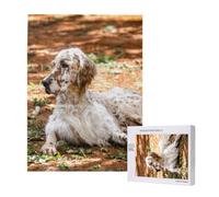 Setter Anglais Automne Animaux de Compagnie Chiens Anglais,Puzzle Familial en Bois de 500 pièces pour Adultes et Adolescents
