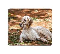 Setter Anglais Automne Animaux de Compagnie Chiens de forêt Anglais, Tapis de Souris, Tapis de Souris à Base de Caoutchouc antidérapant, Tapis de Souris imperméable 25 X 30 cm