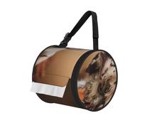 Setter Anglais Automne Animaux de Compagnie Chiots Anglais,Distributeur de mouchoirs cylindrique, Distributeur de mouchoirs Suspendu pour Voiture