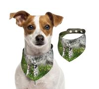 Setter Anglais Pelouse Animaux Chiens Setter Anglais,Bandanas pour Chien, écharpe en Coton, Bavoirs réglables pour Animaux de Compagnie,L
