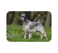 Setter Anglais Pelouse Animaux Chiens Setter Anglais,Paillasson Tapis Tapis Tapis Polyester Antidérapant Décor de Sol Absorbant Salle de Bain Pad