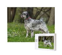 Setter Anglais Pelouse Animaux Chiens Setter Anglais,Puzzle Familial en Bois de 500 pièces pour Adultes et Adolescents, décoration d'intérieur