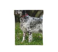 Setter Anglais Pelouse Animaux Chiens Setter Anglais, Sac de Rangement pour Femmes, Portefeuille supérieur à Presser, Petit Porte-Monnaie, Pochette de Changement