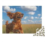 Setter Irlandais Puzzle 1000 Pièces Educa Jouet en Bois Cadeau Unique De l'art De La Décoration Jeu Éducatif Challenge Toy Adultes & Enfants des 14 Ans (75x50cm)