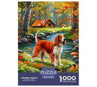 Setter Irlandais Puzzle 1000 Pièces Jouet Jeu D'Intelligence Décoration Intérieure Jeu Éducatif Challenge Toy Adultes & Enfants des 14 Ans 70x50cm/1000pcs