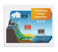 Settle Down Here Poster Deposition WED Classroom Chart