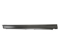 Seuil Einsteigblech Droite Compatible : Ford Galaxy WGR , Seat Alhambra 7M, VW S