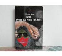 Seul dans la nuit polaire