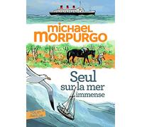 SEUL SUR LA MER IMMENSE