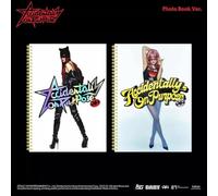 Accidentally On Purpose Photobook Version