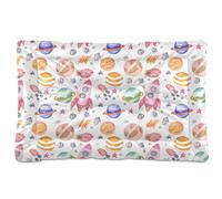 Sevdomey Aquarelle Rockets Tapis de niche pour animal domestique, lavable, doux et confortable avec fond antidérapant pour chiens et chats de petite, moyenne et grande taille, 60 x 90 cm