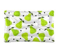 Sevdomey Green Pears Tapis de niche pour animal domestique, lavable, doux et confortable avec fond antidérapant pour chiens et chats de petite, moyenne et grande taille, 45 x 60 cm