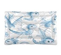 Sevdomey Lit Aquarelle Mignon pour Chien et Chat - Motif Dragon - Lavable - Doux et Confortable - avec Fond antidérapant - pour Chiens et Chats de Petite, Moyenne et Grande Taille - 60 x 90 cm