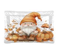 Sevdomey Lit pour Chien et Chat - Motif Nains Mignons - Lavable - Doux et Confortable - avec Fond antidérapant - pour Chiens et Chats de Petite, Moyenne et Grande Taille - 45 x 60 cm
