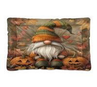Sevdomey Little GNOME Lit pour Chien et Chat - Lavable - Doux et Confortable - avec Fond antidérapant - pour Chiens et Chats de Petite, Moyenne et Grande Taille - 45 x 60 cm