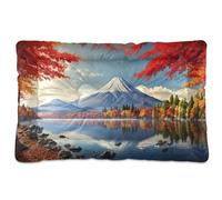 Sevdomey Mount Pet Pads Lit pour chien et chat - Lavable - Doux et confortable - Avec fond antidérapant - Pour chiens et chats de petite, moyenne et grande taille - 60 x 90 cm