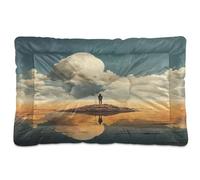 Sevdomey Ocean Freedom - Coussin pour animal domestique pour chien et chat - Lavable doux et confortable - Avec fond antidérapant - Pour chiens et chats de petite, moyenne et grande taille, 45 x 60 cm