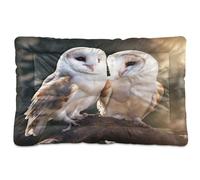Sevdomey Tapis de niche en forme de chouette pour chien et chat - Lavable - Doux et confortable - Avec fond antidérapant - Pour chiens et chats de petite, moyenne et grande taille - 45 x 60 cm