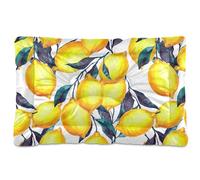 Sevdomey Tapis de niche pour animal domestique motif citron aquarelle - Lavable - Doux et confortable - Avec fond antidérapant - Pour chiens de petite, moyenne et grande taille - 45 x 60 cm