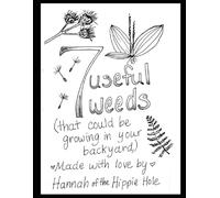 Seven Useful Weeds: that may be in your backyard