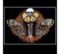 Sevens Collective - A Too Much Divided Heart [Import]